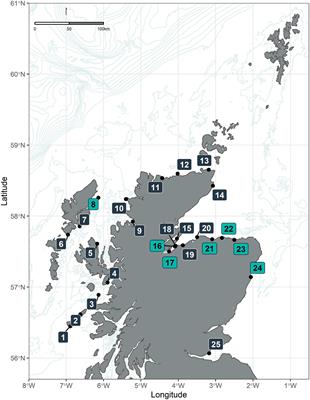 Patterns and Trends in Cetacean Occurrence Revealed by Shorewatch, a Land-Based Citizen Science Program in Scotland (United Kingdom)